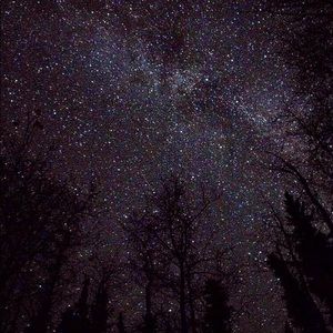 Meet your Posher, Laken